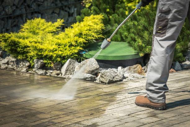 Best Roof Washing  in Salisbury, NY