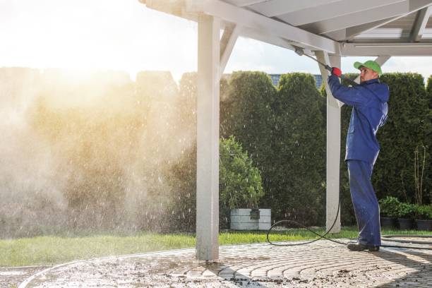 Best Solar Panel Cleaning  in Salisbury, NY