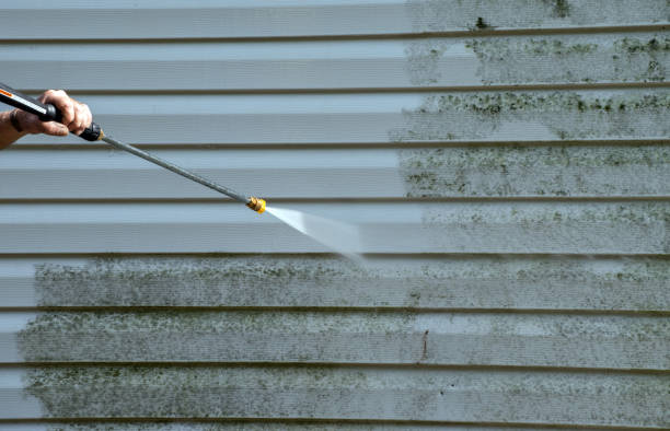 Best Fence Cleaning  in Salisbury, NY